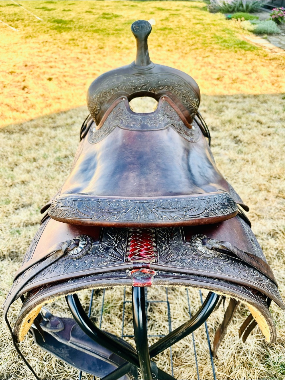Stray Dog Cutting Saddle